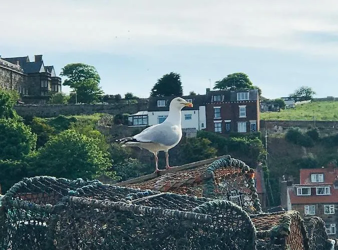 Apartman High Tide Whitby